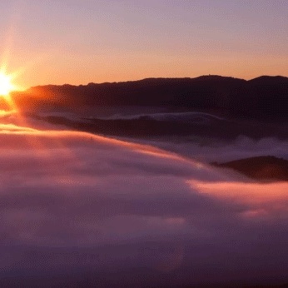 Meet your Posher, Twilight